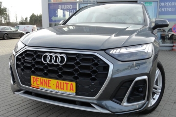 S Line Plus Navi 4x4 Full Led Skóra Alu 19 Digital Plug in Kamera 2021